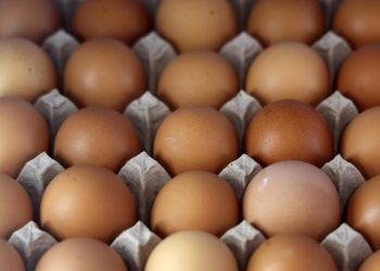Η FDA ανακαλεί 19 εκατ. αυγά για κίνδυνο σαλμονέλας