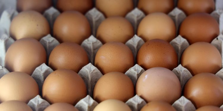Η FDA ανακαλεί 19 εκατ. αυγά για κίνδυνο σαλμονέλας